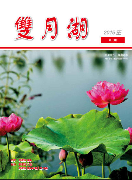青藤作家书库：双月湖（2015年第3期）